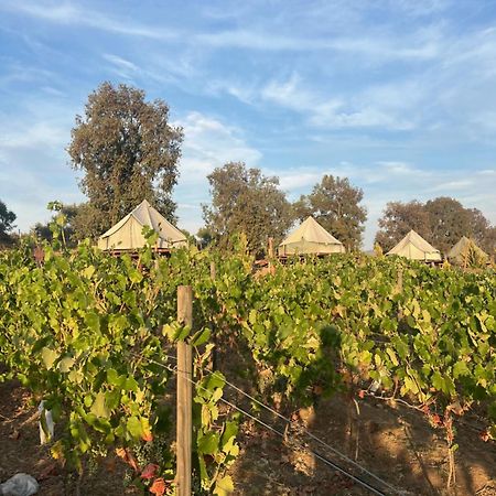 Lago Valle Wine Glamping Valle de Guadalupe Exterior photo