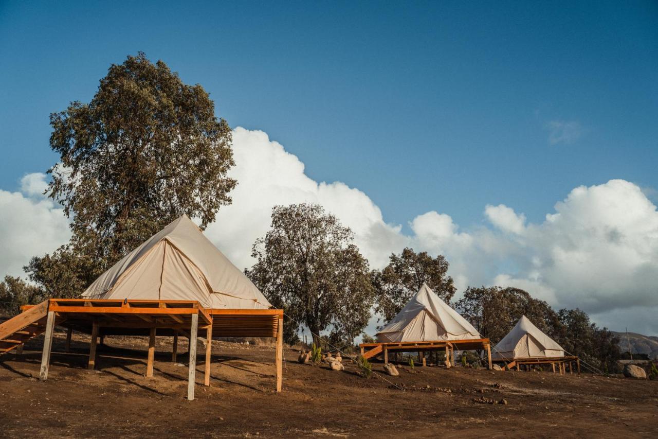 Lago Valle Wine Glamping Valle de Guadalupe Exterior photo