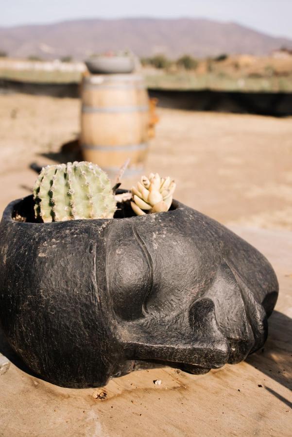 Lago Valle Wine Glamping Valle de Guadalupe Exterior photo